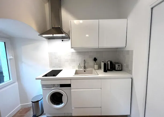 Le Duc - Avec Terrasse - Coeur De Appartement Dijon