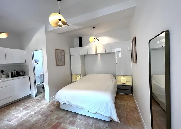 Le Duc - Coeur De - Avec Terrasse Et Climatisation * Dijon